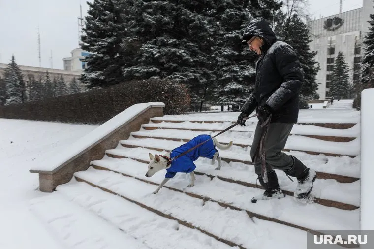 Жителей Челябинской области ожидает мокрый снег и гололед