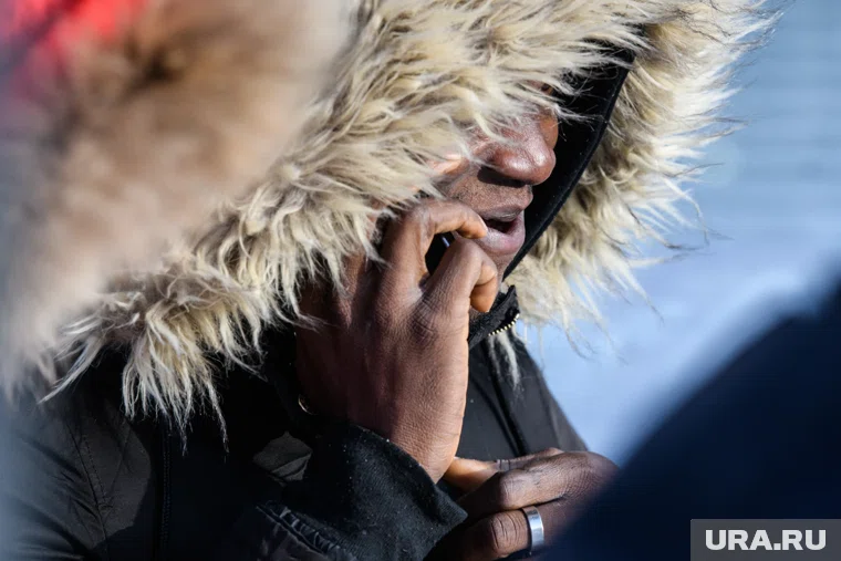 По данным статистики, мигранты бесчинствуют в Европе