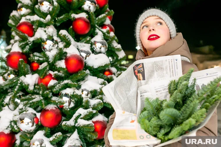 В новогоднюю ночь в Тюмени прогнозируют до -15 градусов мороза 