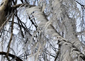 В Пермском крае прошел ледяной дождь