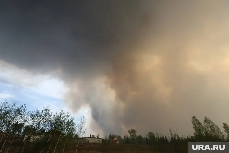 Сотрудники Роспотребнадзора не выявили опасных веществ в воздухе после пожаров в Кургане