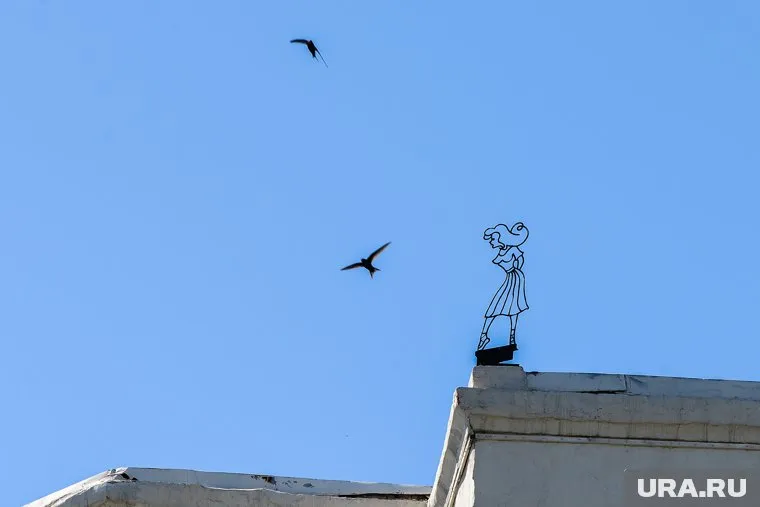 Птица столкнулась с самолетом, когда тот заходил на посадку