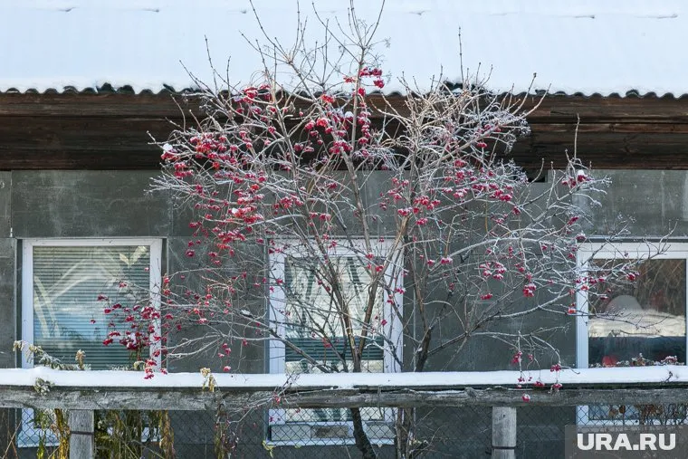 Трагедия произошла в одном из частных домов села Ярково Тюменского района