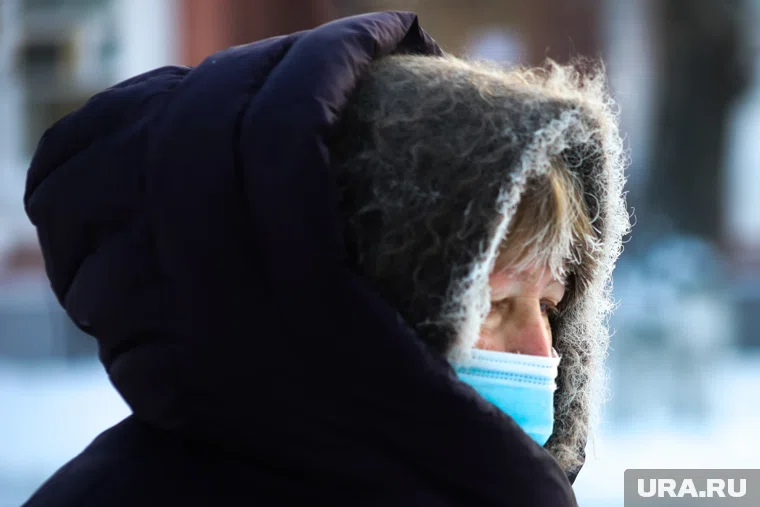 Заморозки ударят до -36 градусов (архивное фото) 