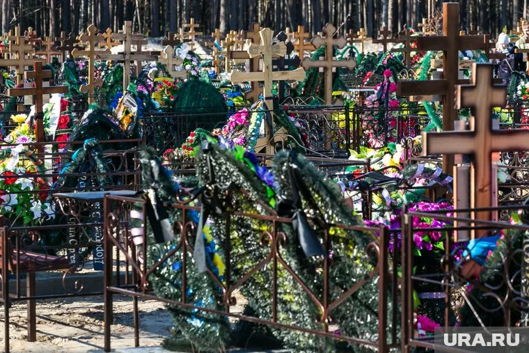 Силовики проверят обстоятельства происшествия