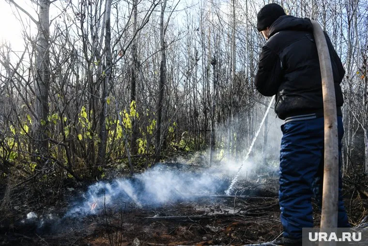 Лес горит недалеко от Муравленко (архивное фото)
