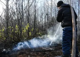 Фотография из галереи
