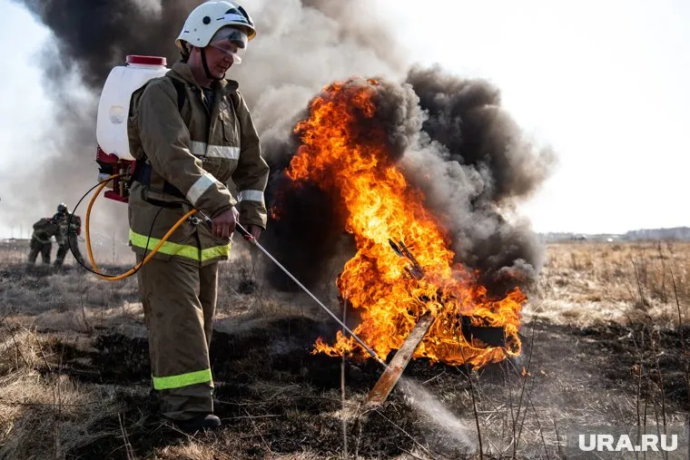 В лесном отделе Greenpeace утверждают, что Россия занимает статистику лесных пожаров в девять раз