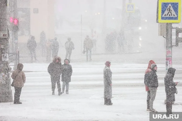 Жителей Центрального федерального округа ожидает снег
