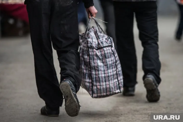 Дмитрий Сергеев намерен добиваться уголовного преследования виновных в скандальной колонии