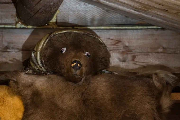 Ханты. Сургутский район