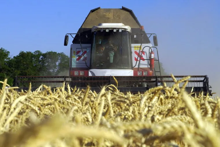 Уборка пшеницы на границе ДНР и Ростовской области. Ростов