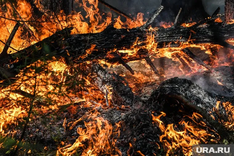 Лесам ХМАО пожары не угрожают