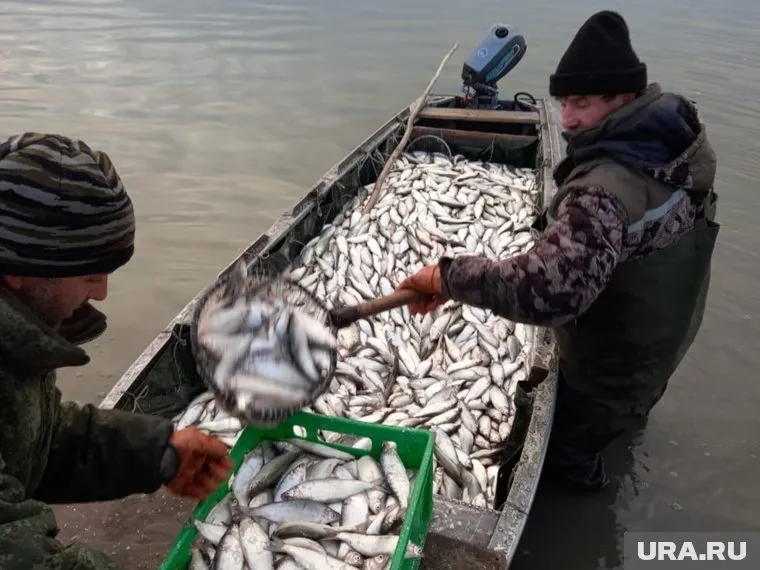 Рыбаки предприятия «Курганрыбхоз» за работой