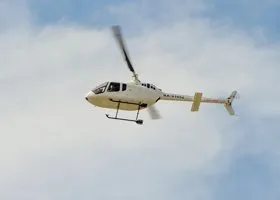 Фотография из галереи