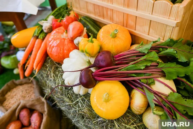 Американский диетолог Элизабет Бранс рекомендует добавлять овощи к каждому приему пищи