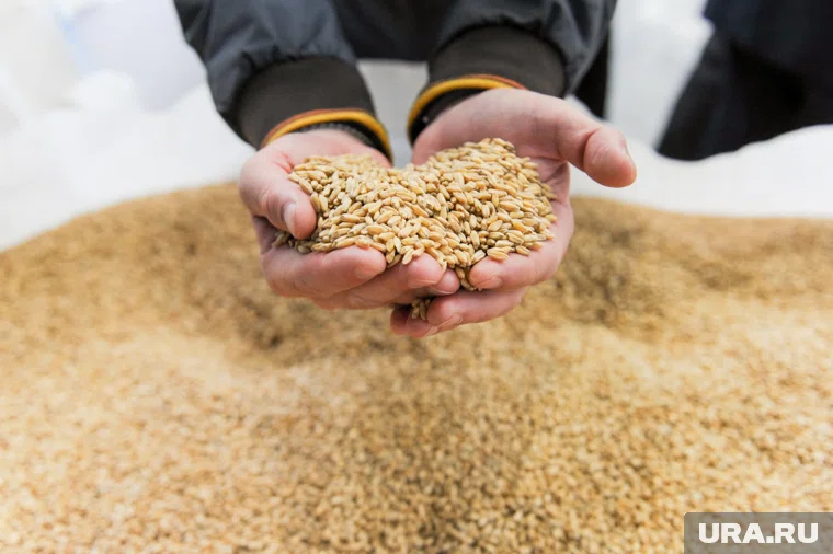 Сельхозпредприятие привлечено к ответственности за плохое состояние склада для хранения зерна