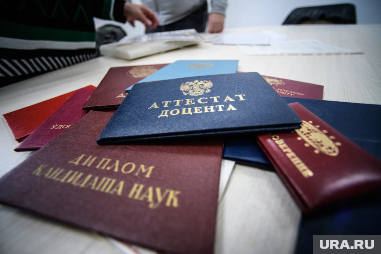 Для части россиян увеличат страховую пенсию