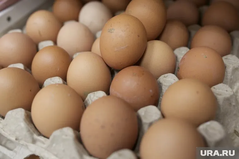 Куриные яйца с начала года подорожали на 58,97%, заявили в Росстате
