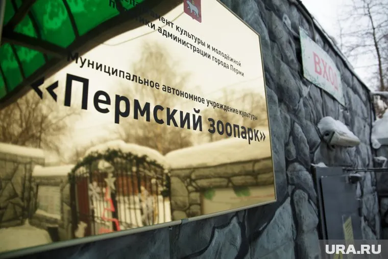 Власти Прикамья подали в суд на подрядчика Пермского зоопарка