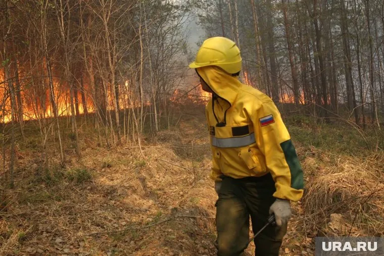 Несколько виновных в поджогах уже задержаны