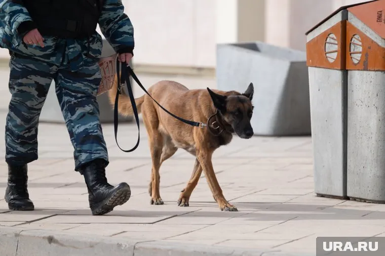О подозрительном предмете очевидцы сообщили в полицию