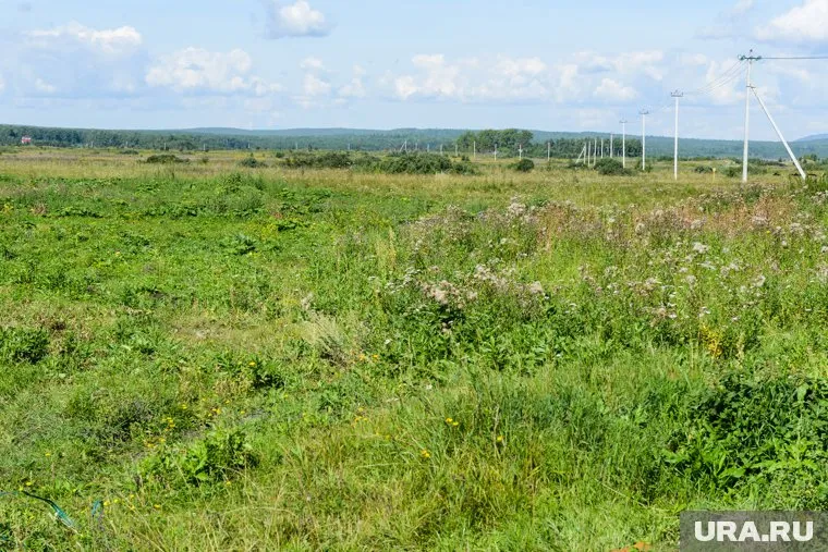 В Курганской области три земельных участка подешевели на 2,5 млн рублей