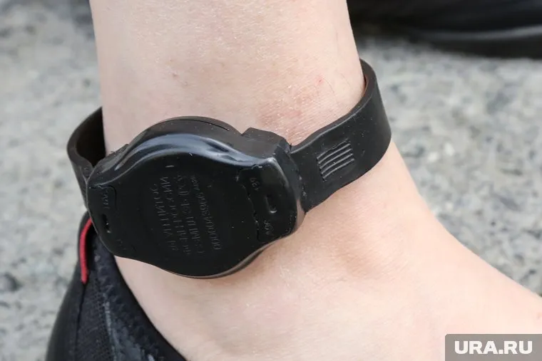 Арестованные находятся под подпиской о невыезде