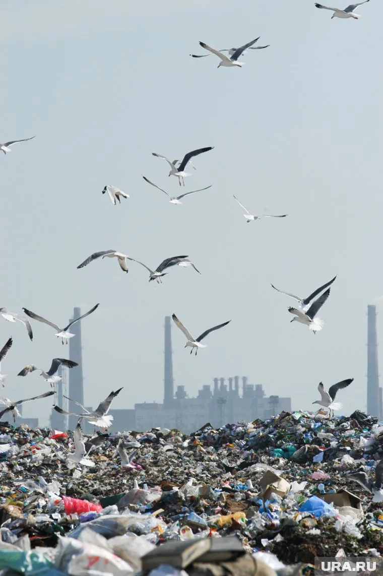 В России появится больше мусоросжигающих заводов и полигонов