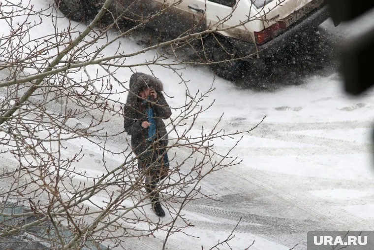 В Курганской области местами выпадет мокрый снег