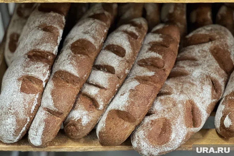 Ржаной хлеб вырос до 48,9 рублей за 300 грамм