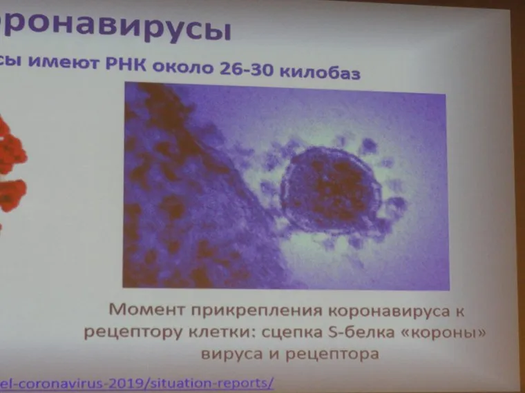 Алебай Сабитов и китайский коронавирус COVID-2019