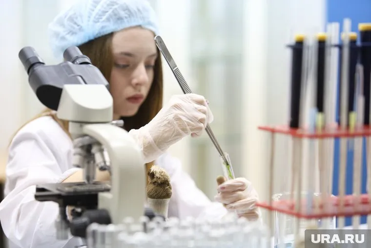 Будущих абитуриентов приглашают построить карьеру в сфере фундаментальных наук