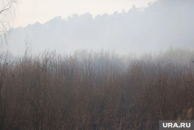 Жители Орла сообщают о громком взрыве и дыме в районе нефтебазы