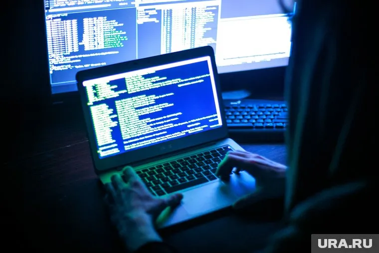 Крупная IT-компания приостановила деятельность в РФ