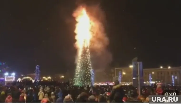 Огонь быстро охватил все дерево