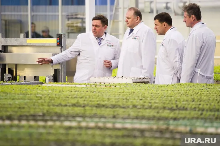 Илья Бондарев ранее покинул министерство ради работы в «УГМК-Агро»