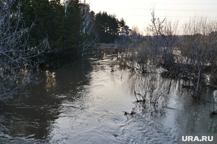 Денис Паслер заявил, что на месте работают около 600 специалистов