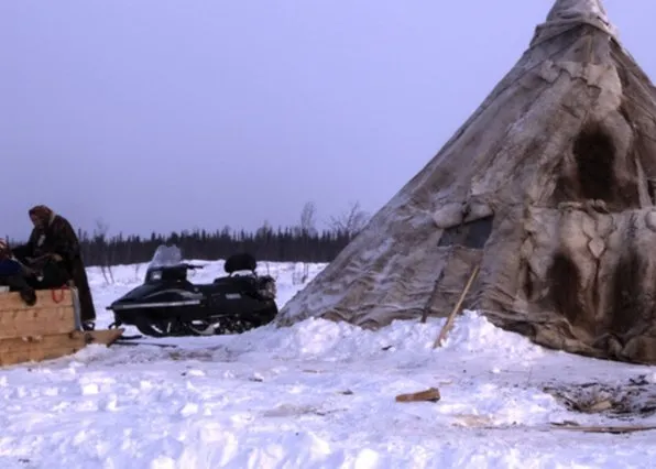 Фотография из галереи