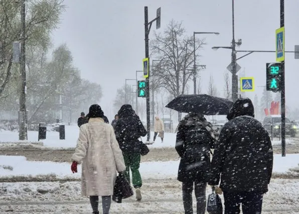 Фотография из галереи