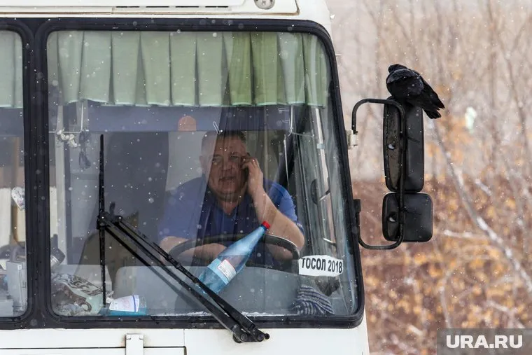 Таксистов и водителей признали самыми стрессовыми профессиями в Курганской области