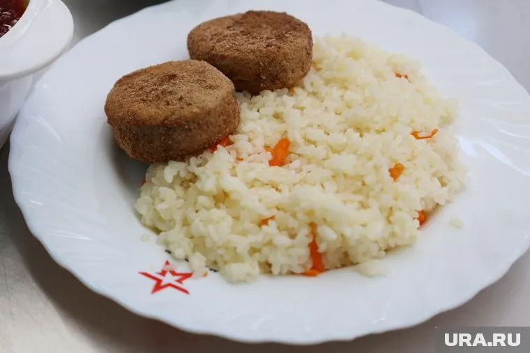 Ученики школы №4 в Ханты-Мансийске, пожаловались, что их кормят котлетами с плесенью