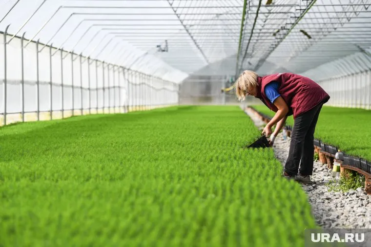 Аграрии и рабочие стали в два раза чаще требоваться в Челябинске