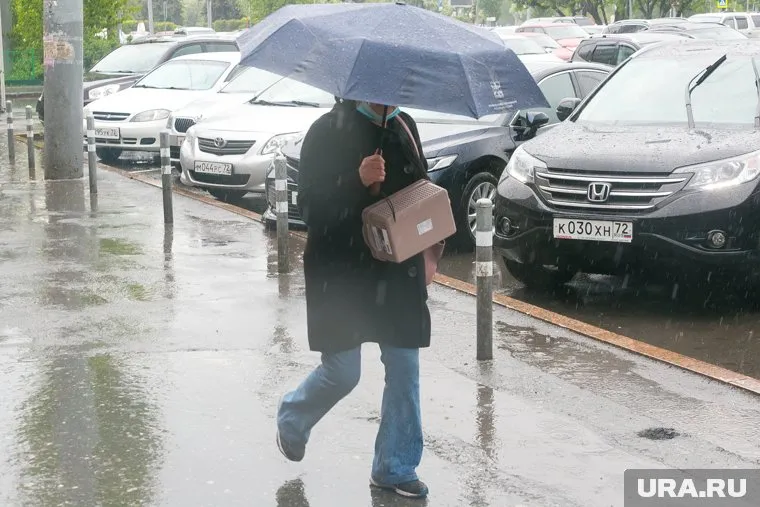 Синоптик Пулин уверен, что холода в Свердловской области будут до 13 июня включительно