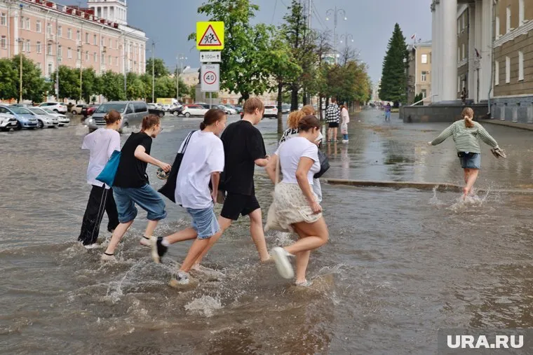 Курганцев ждет дождливая неделя