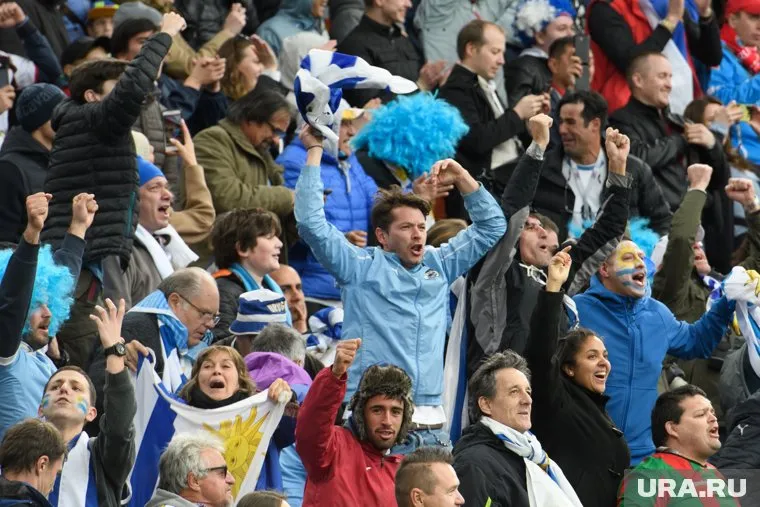 Испанские болельщики на матче с Германией развернули флаг «Азова»*