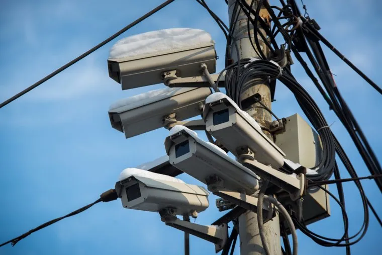 Клипарт. Собаки. ДТП и др. Екатеринбург, видеонаблюдение, камеры гибдд, слежка