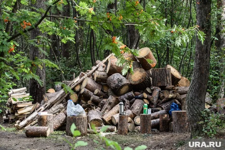 Зарплаты в отрасли сельского и лесного хозяйства выросли на 43% за год