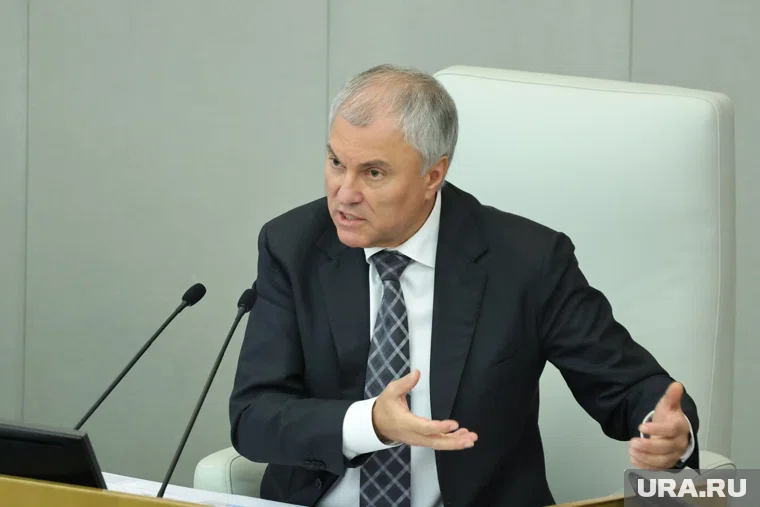 МВД должно навести порядок и пересмотреть правила, по которым трудоустраиваются мигранты, заявил Володин