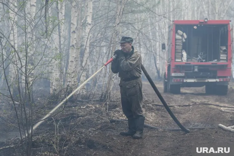 Все свердловские лесные пожары, по данным властей, были рукотворными